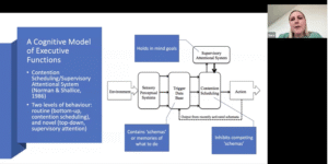 NeuroHealth External Speaker Webinar Series – Executive Functions: From Theory to Clinical Practic - The London Neurocognitive Clinic