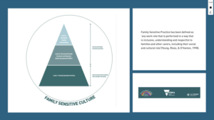 NeuroHealth External Speaker Webinar Series – Dr Freddie Byrne and Dr Jocelyne Kenny - Living with ABI
